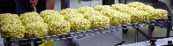 Students learned the factory produces between 1200 and 2000 popcorn balls each day.