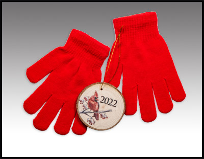 2022 Ornament and gloves